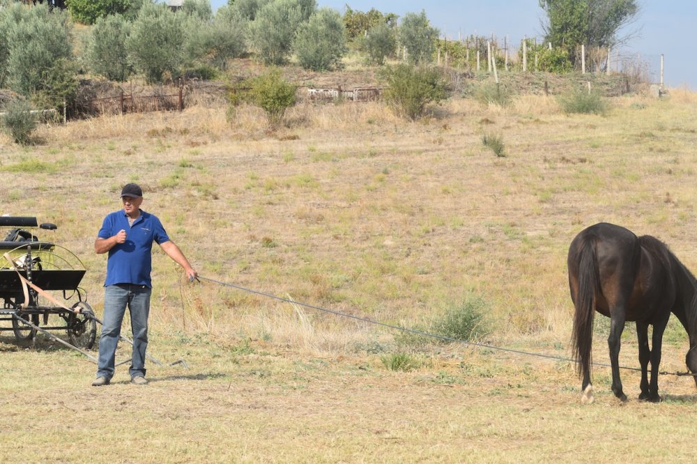 Εικόνες από την 5η Ιππική Συνάντηση
