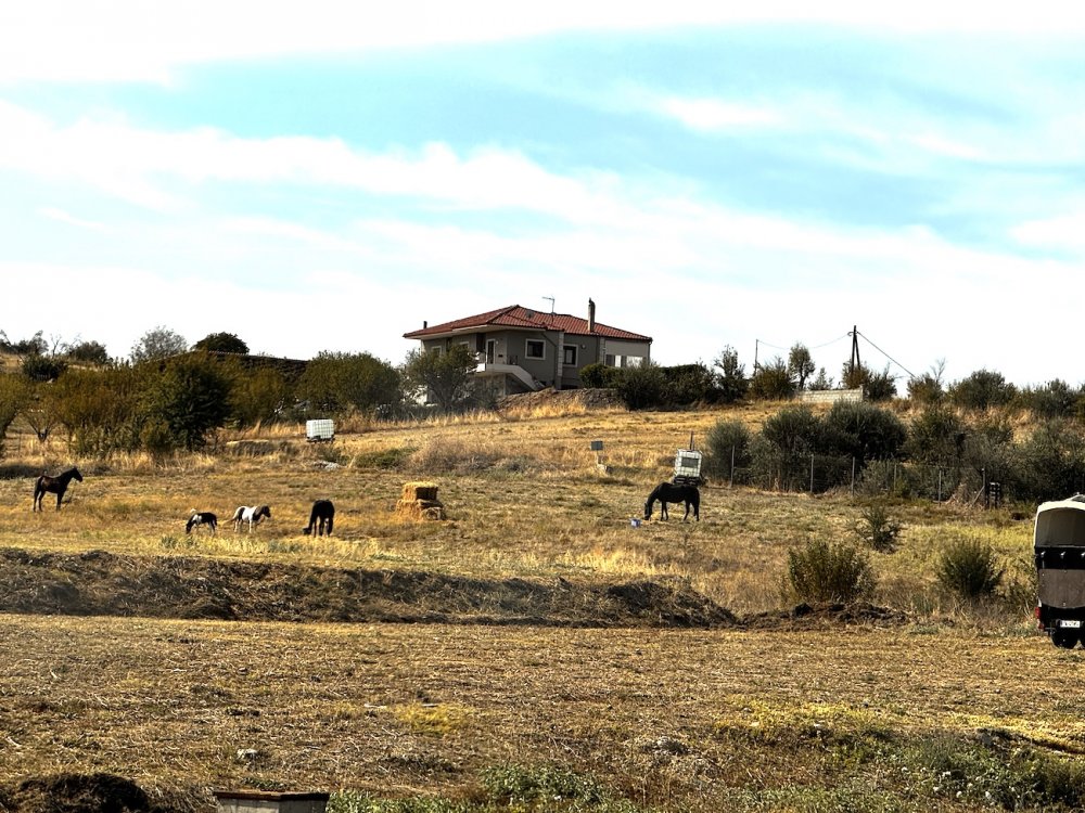 Εικόνες από την 5η Ιππική Συνάντηση