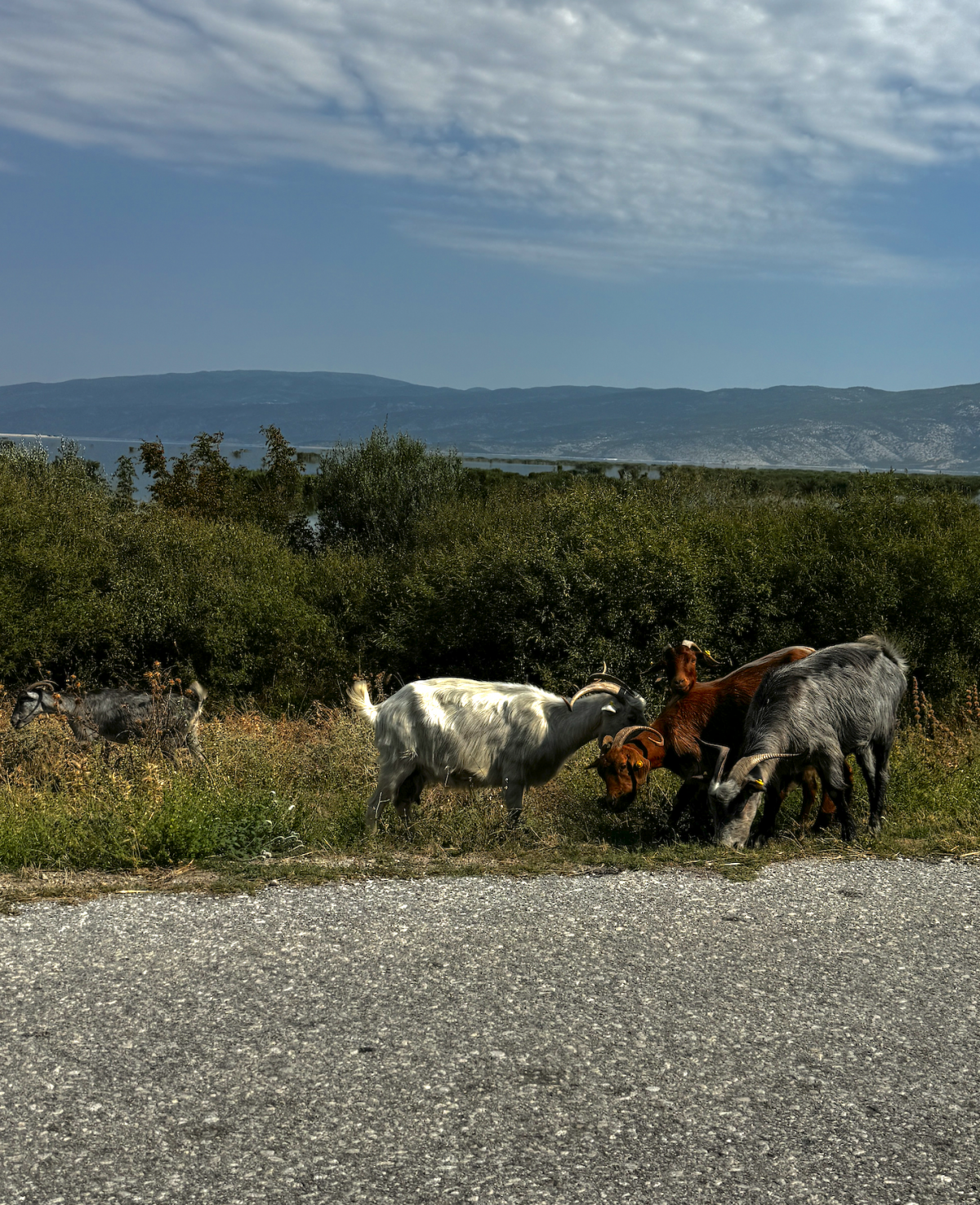 Κάπου στην Κάρλα