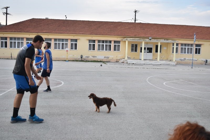 Η γιορτή του μπάσκετ σε εικόνες!