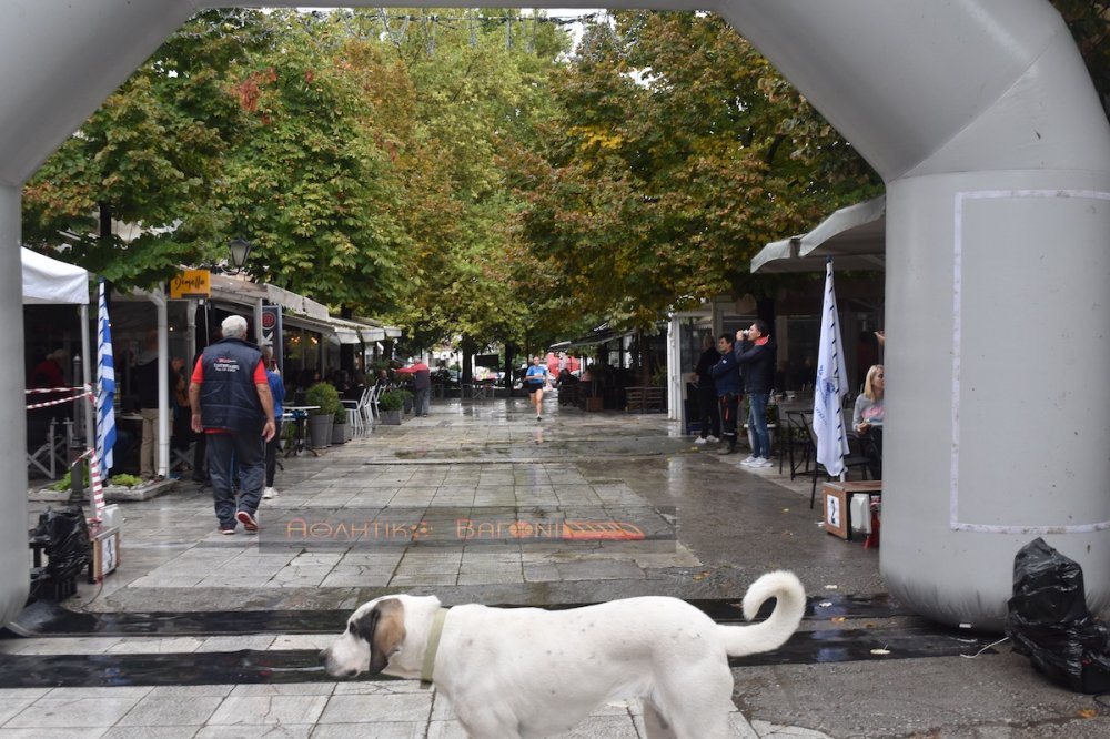 Ο Ρήγειος Δρόμος σε εικόνες (Β` Μέρος)