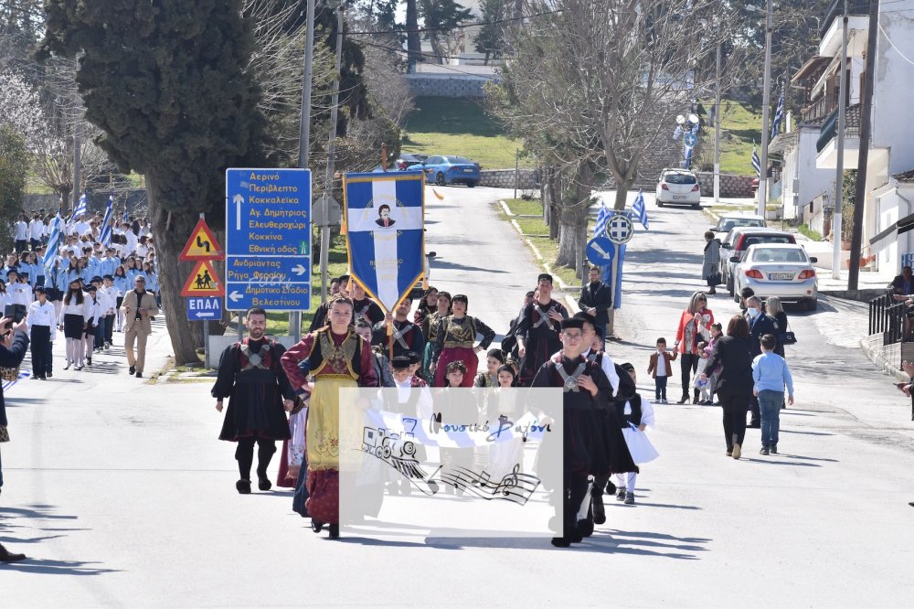 Φωτορεπορτάζ από την παρέλαση του Βελεστίνου