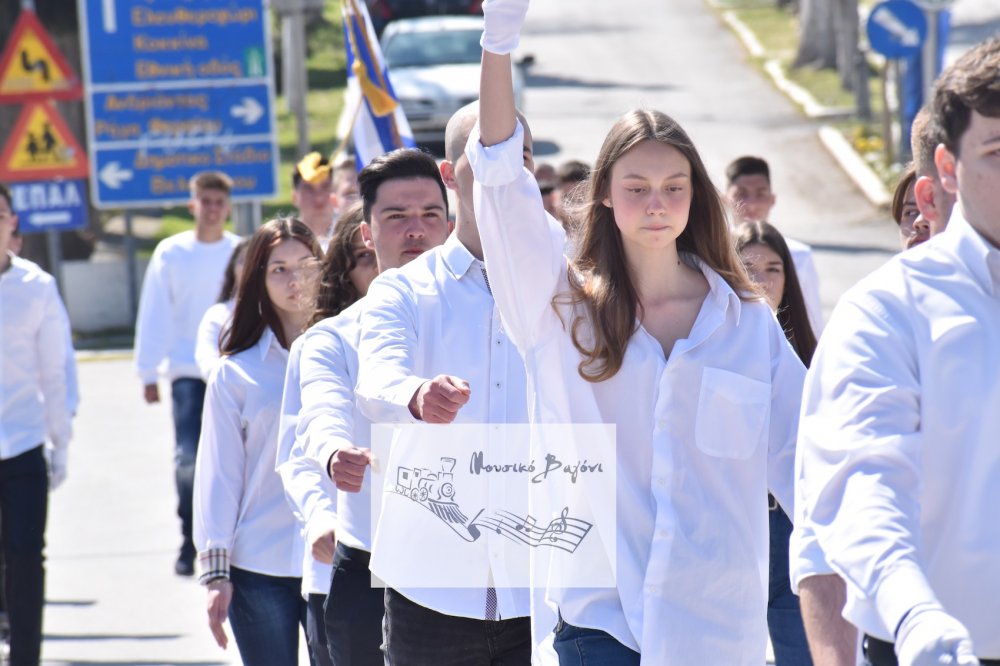 Φωτορεπορτάζ από την παρέλαση του Βελεστίνου