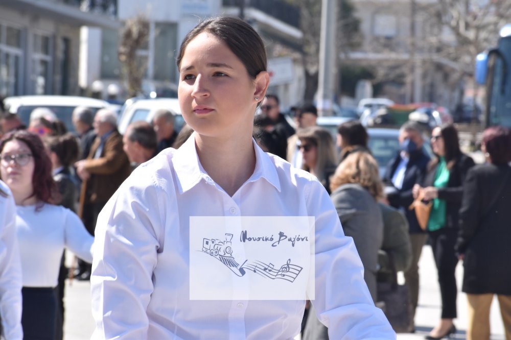 Φωτορεπορτάζ από την παρέλαση του Βελεστίνου