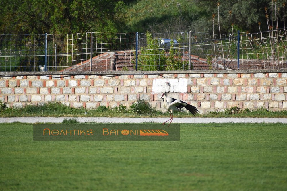 Εικόνες από το φιλανθρωπικό φιλικό του Βελεστίνου