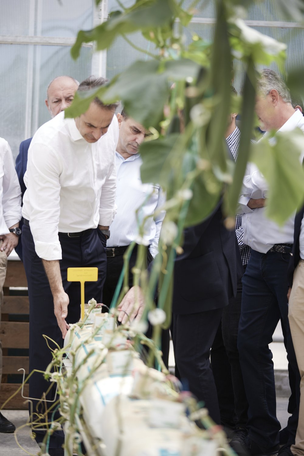 H επίσκεψη του Κ. Μητσοτάκη σε Πλάτανο Αλμυρού - Βελεστίνο - Κανάλια