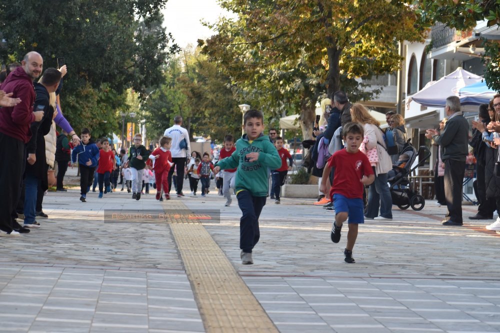 Ο Ρήγειος Δρόμος σε εικόνες (1ο μέρος)