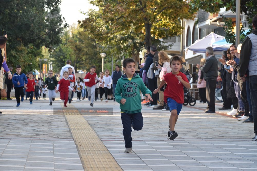 Ο Ρήγειος Δρόμος σε εικόνες (1ο μέρος)