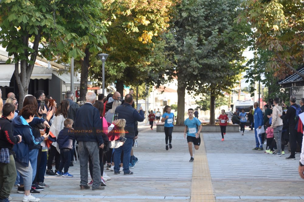 Ο Ρήγειος Δρόμος σε εικόνες (1ο μέρος)