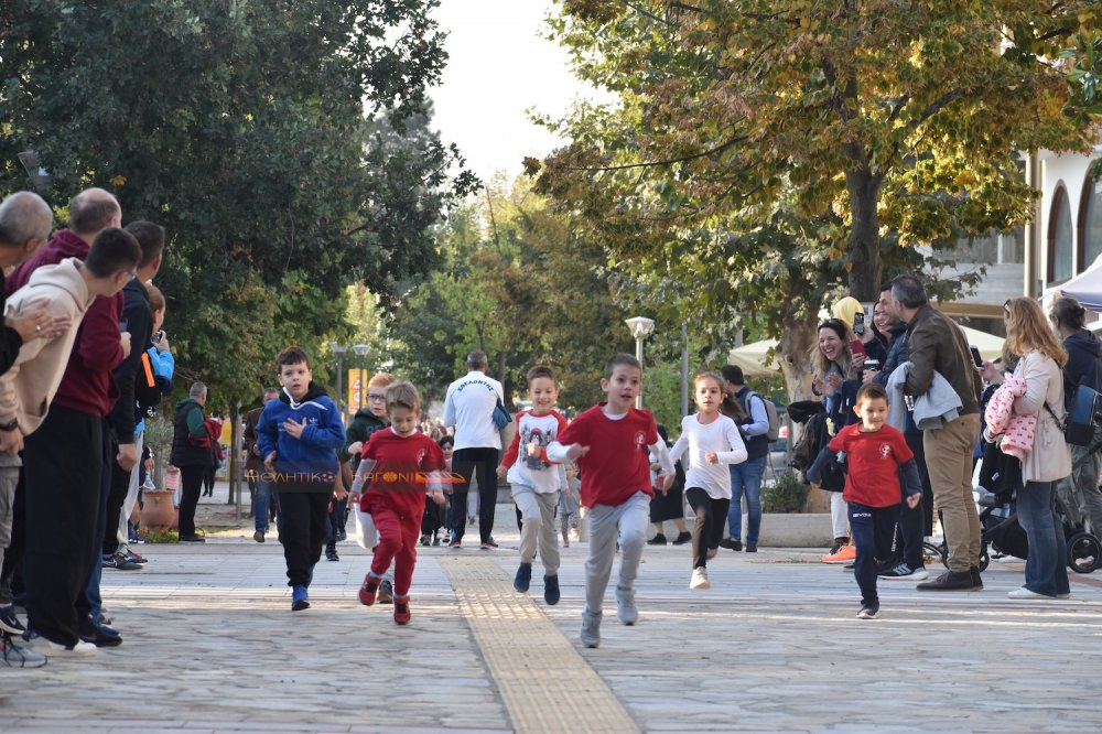 Ο Ρήγειος Δρόμος σε εικόνες (1ο μέρος)