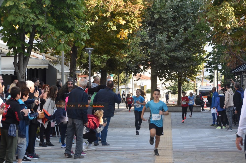 Ο Ρήγειος Δρόμος σε εικόνες (1ο μέρος)