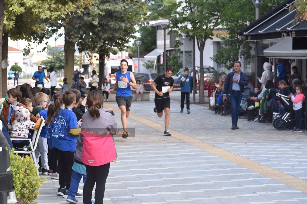 Ο Ρήγειος Δρόμος σε εικόνες (1ο μέρος)