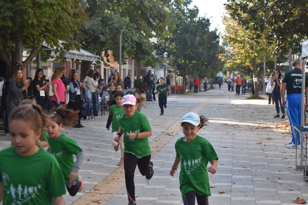 Φωτορεπορτάζ από τον Ρήγειο Δρόμο - Α` Μέρος