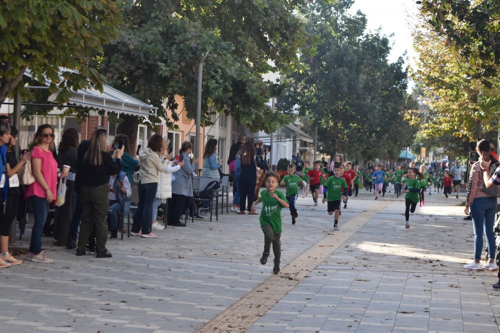 Φωτορεπορτάζ από τον Ρήγειο Δρόμο - Α` Μέρος