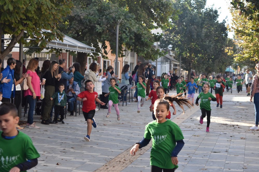 Φωτορεπορτάζ από τον Ρήγειο Δρόμο - Α` Μέρος