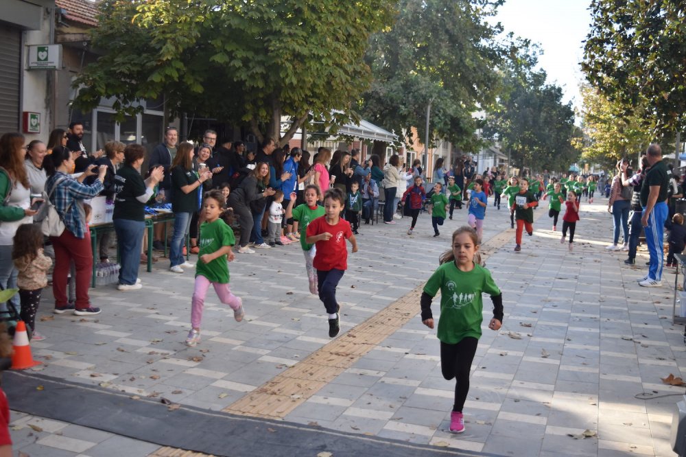 Φωτορεπορτάζ από τον Ρήγειο Δρόμο - Α` Μέρος