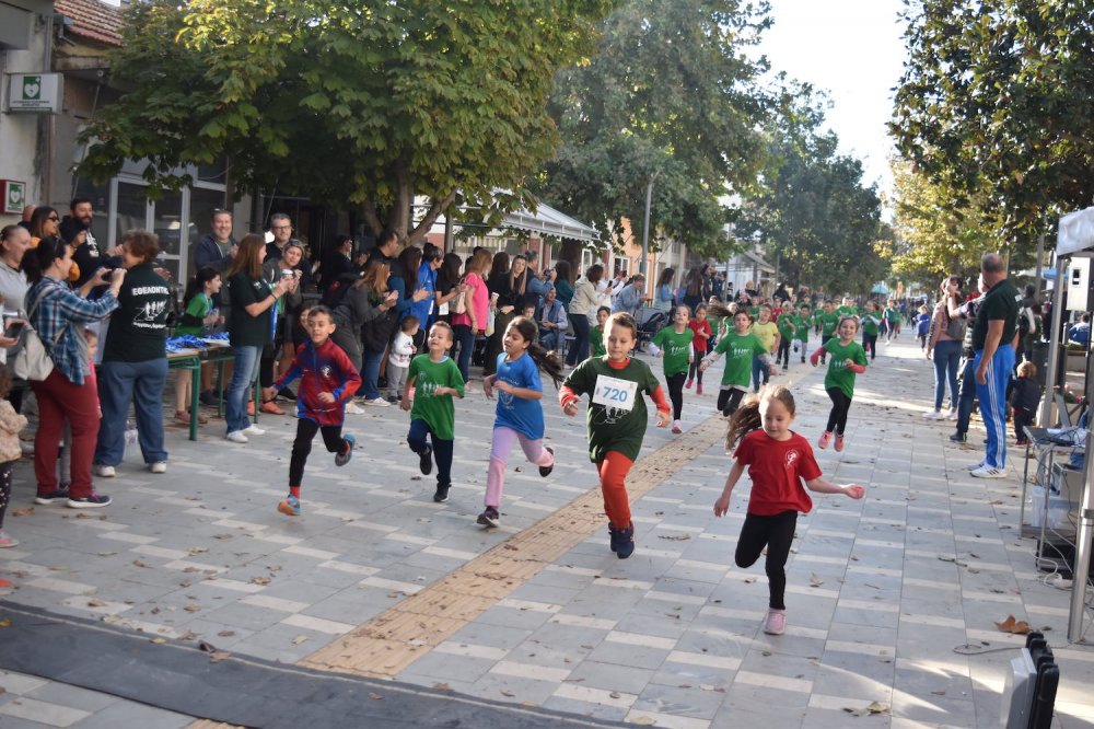 Φωτορεπορτάζ από τον Ρήγειο Δρόμο - Α` Μέρος