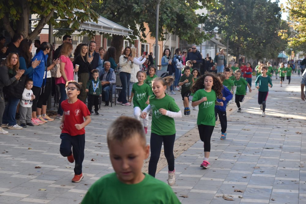 Φωτορεπορτάζ από τον Ρήγειο Δρόμο - Α` Μέρος