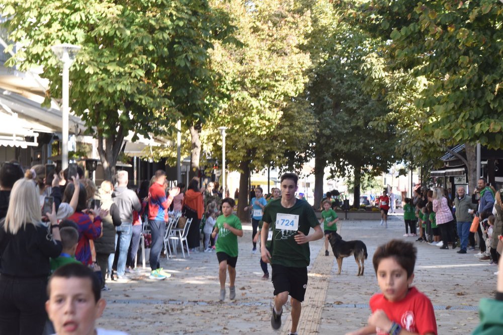 Φωτορεπορτάζ από τον Ρήγειο Δρόμο - Α` Μέρος