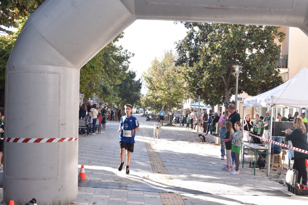 Φωτορεπορτάζ από τον Ρήγειο Δρόμο - Α` Μέρος