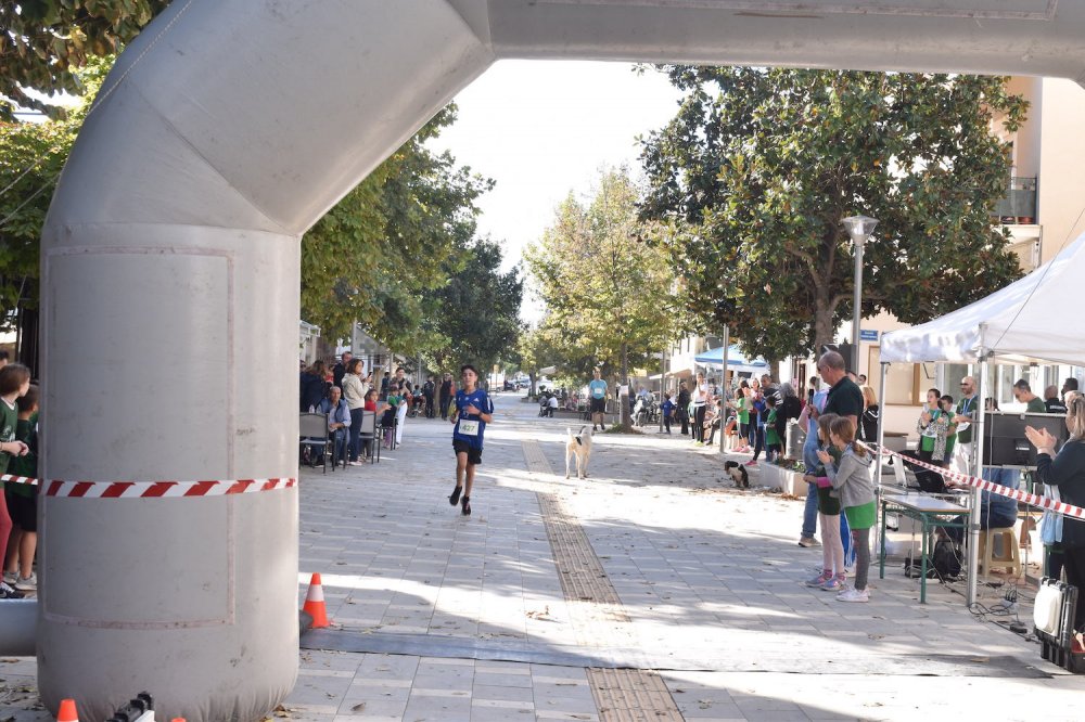 Φωτορεπορτάζ από τον Ρήγειο Δρόμο - Α` Μέρος