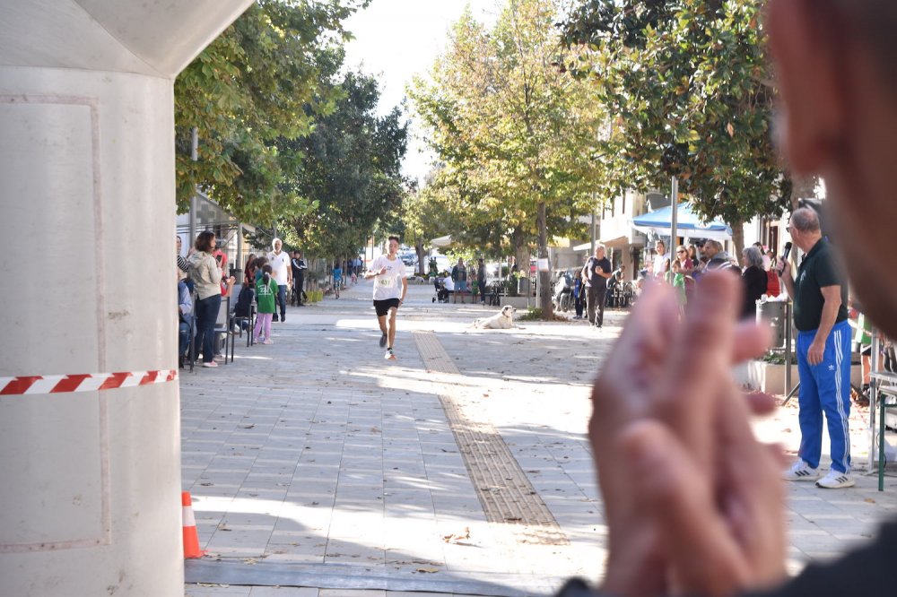 Φωτορεπορτάζ από τον Ρήγειο Δρόμο - Α` Μέρος