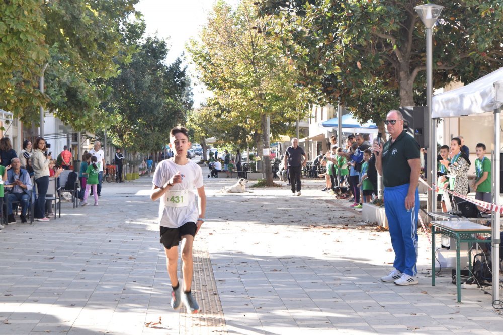 Φωτορεπορτάζ από τον Ρήγειο Δρόμο - Α` Μέρος