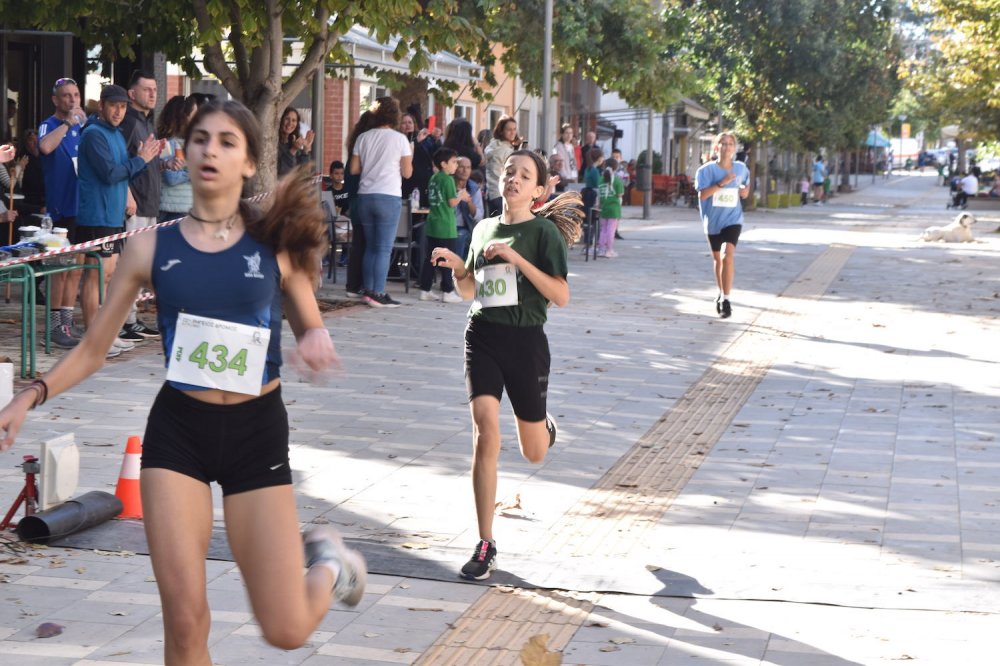 Φωτορεπορτάζ από τον Ρήγειο Δρόμο - Α` Μέρος