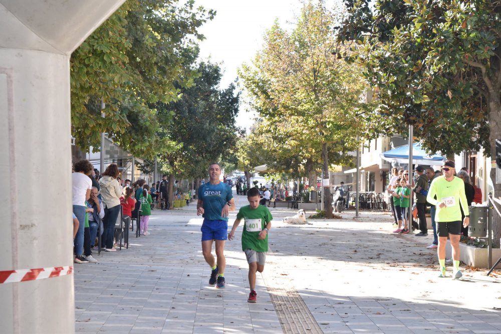 Φωτορεπορτάζ από τον Ρήγειο Δρόμο - Α` Μέρος