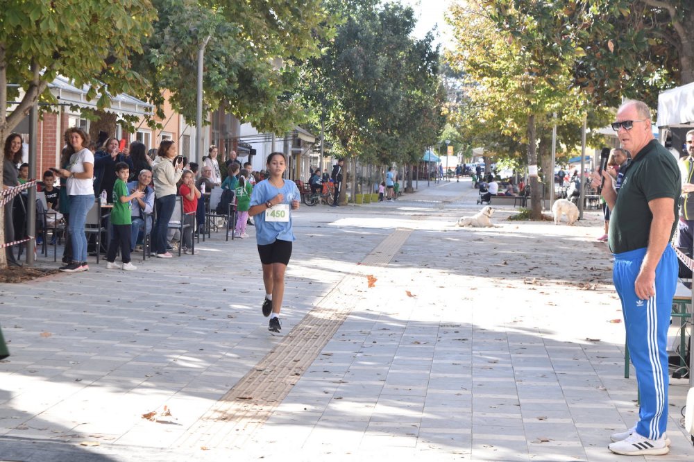 Φωτορεπορτάζ από τον Ρήγειο Δρόμο - Α` Μέρος