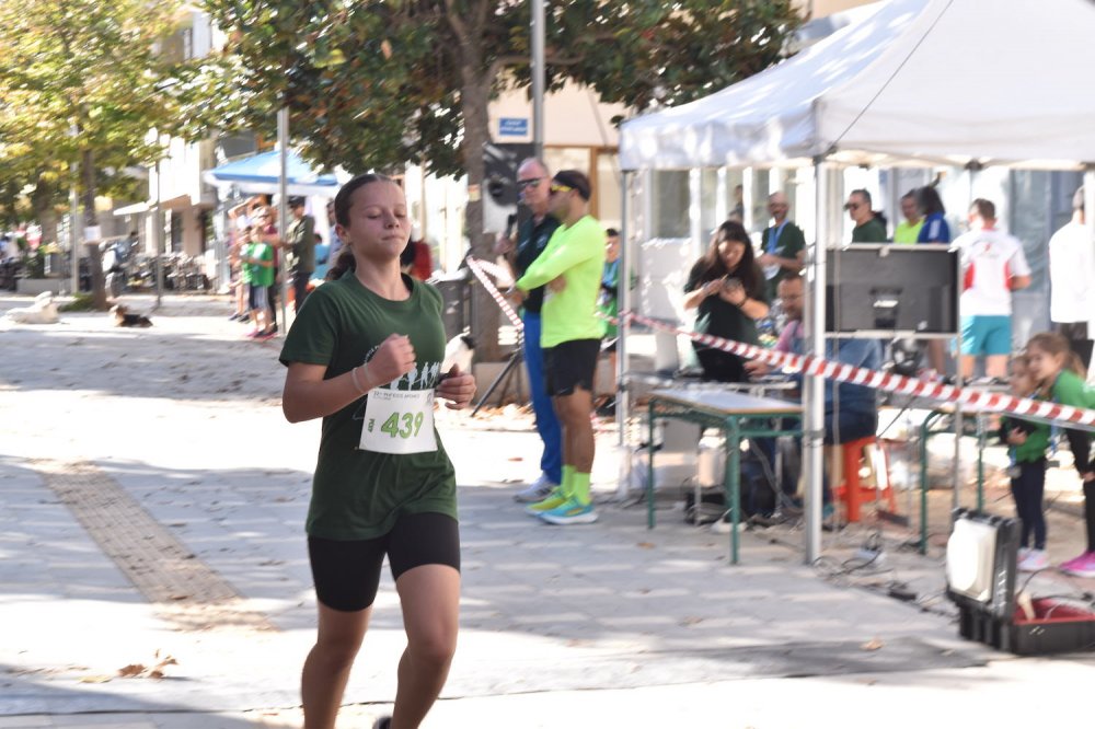 Φωτορεπορτάζ από τον Ρήγειο Δρόμο - Α` Μέρος