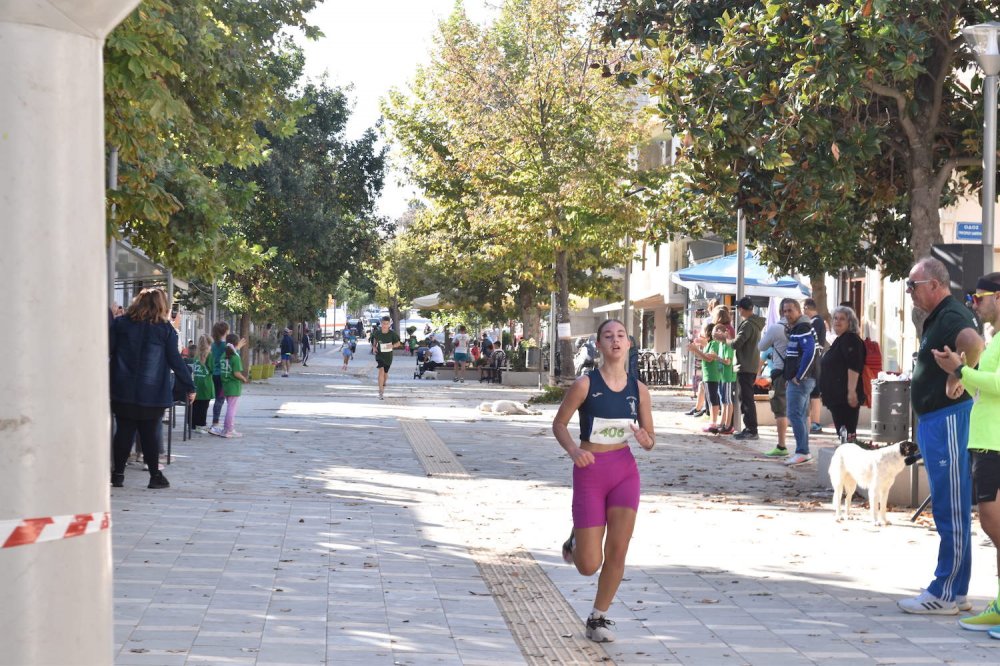 Φωτορεπορτάζ από τον Ρήγειο Δρόμο - Α` Μέρος