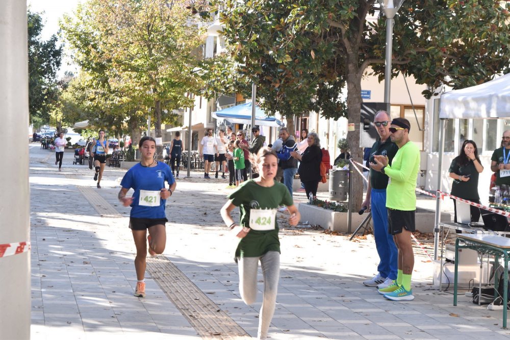 Φωτορεπορτάζ από τον Ρήγειο Δρόμο - Α` Μέρος