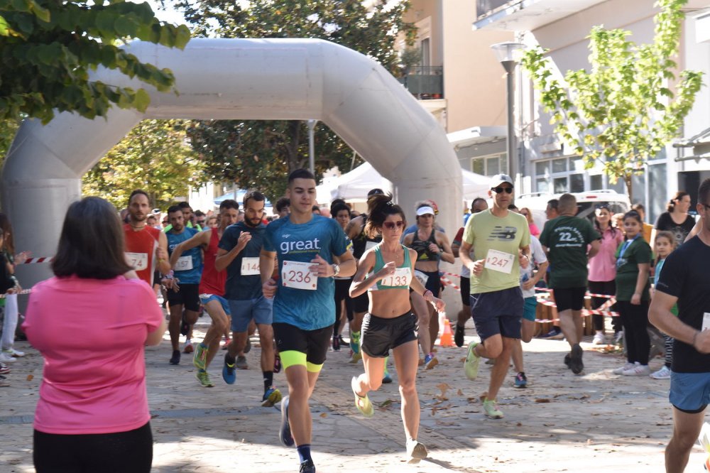 Φωτορεπορτάζ από τον Ρήγειο Δρόμο - Β` Μέρος