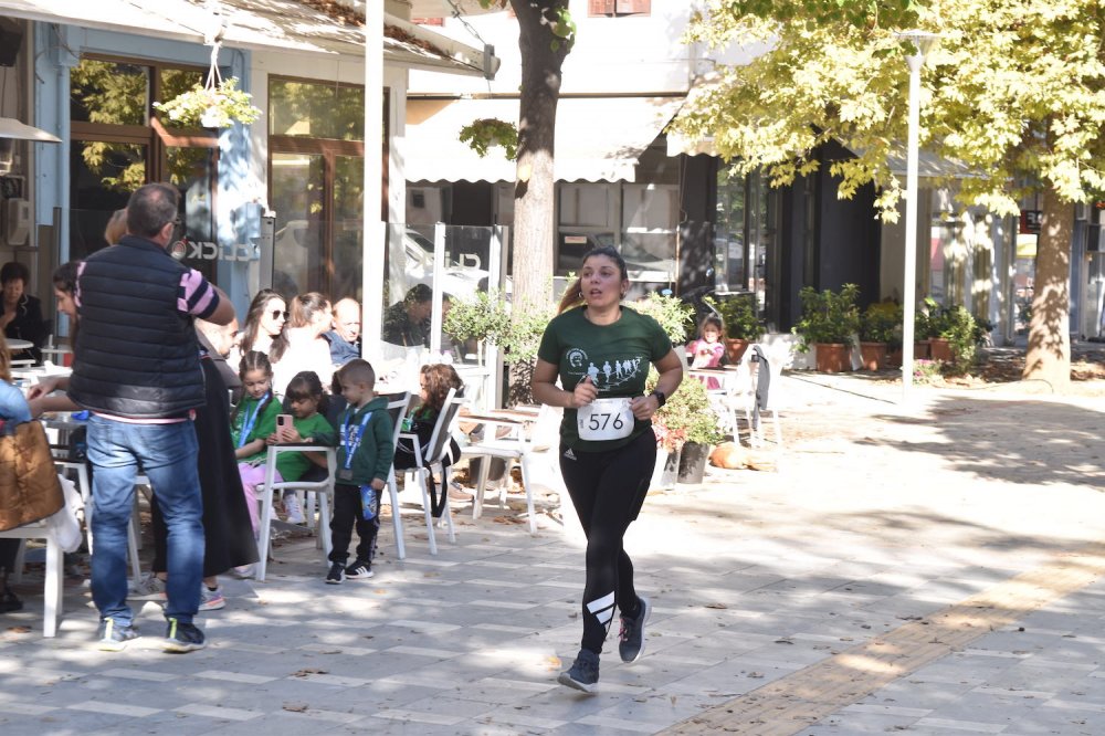 Φωτορεπορτάζ από τον Ρήγειο Δρόμο - Β` Μέρος