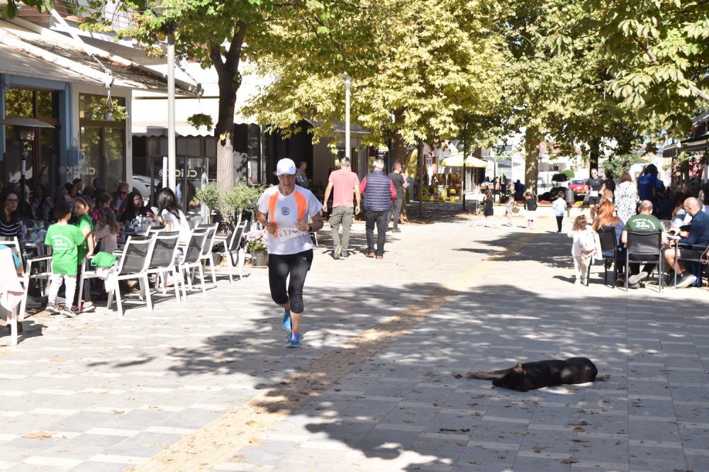 Φωτορεπορτάζ από τον Ρήγειο Δρόμο - Β` Μέρος