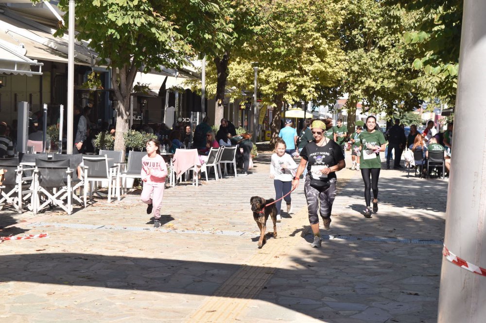 Φωτορεπορτάζ από τον Ρήγειο Δρόμο - Β` Μέρος