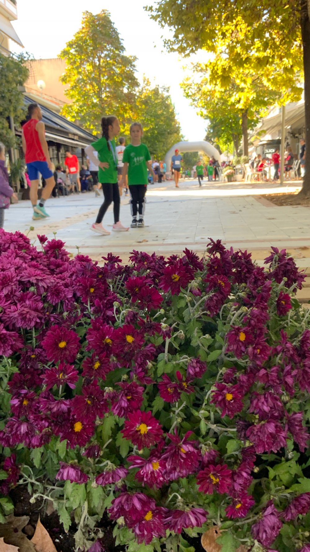 Φωτορεπορτάζ από τον Ρήγειο Δρόμο - Γ` Μέρος