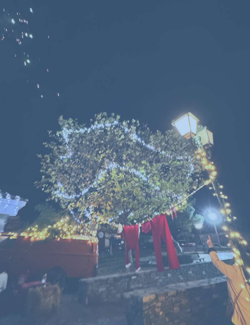 Εικόνες από την Φωταγώγηση του Χριστουγεννιάτικου Δέντρου στο Περίβλεπτο