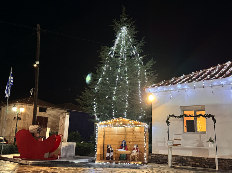 Εικόνες από την Φωταγώγηση του Χριστουγεννιάτικου Δέντρου στο Περίβλεπτο