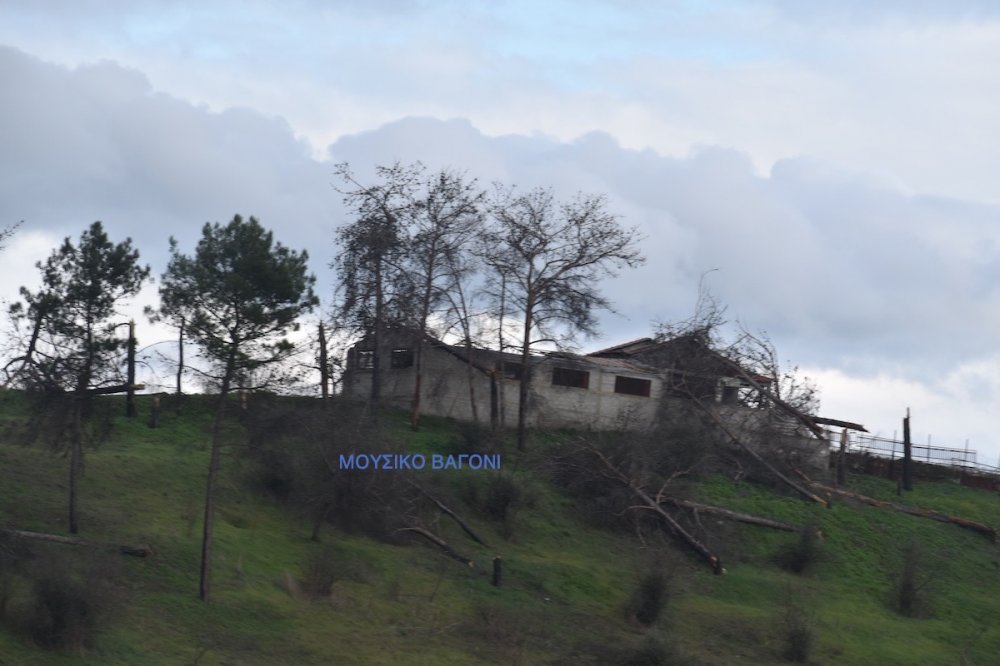 Κλικ από το Ρήγας - Τοξότης