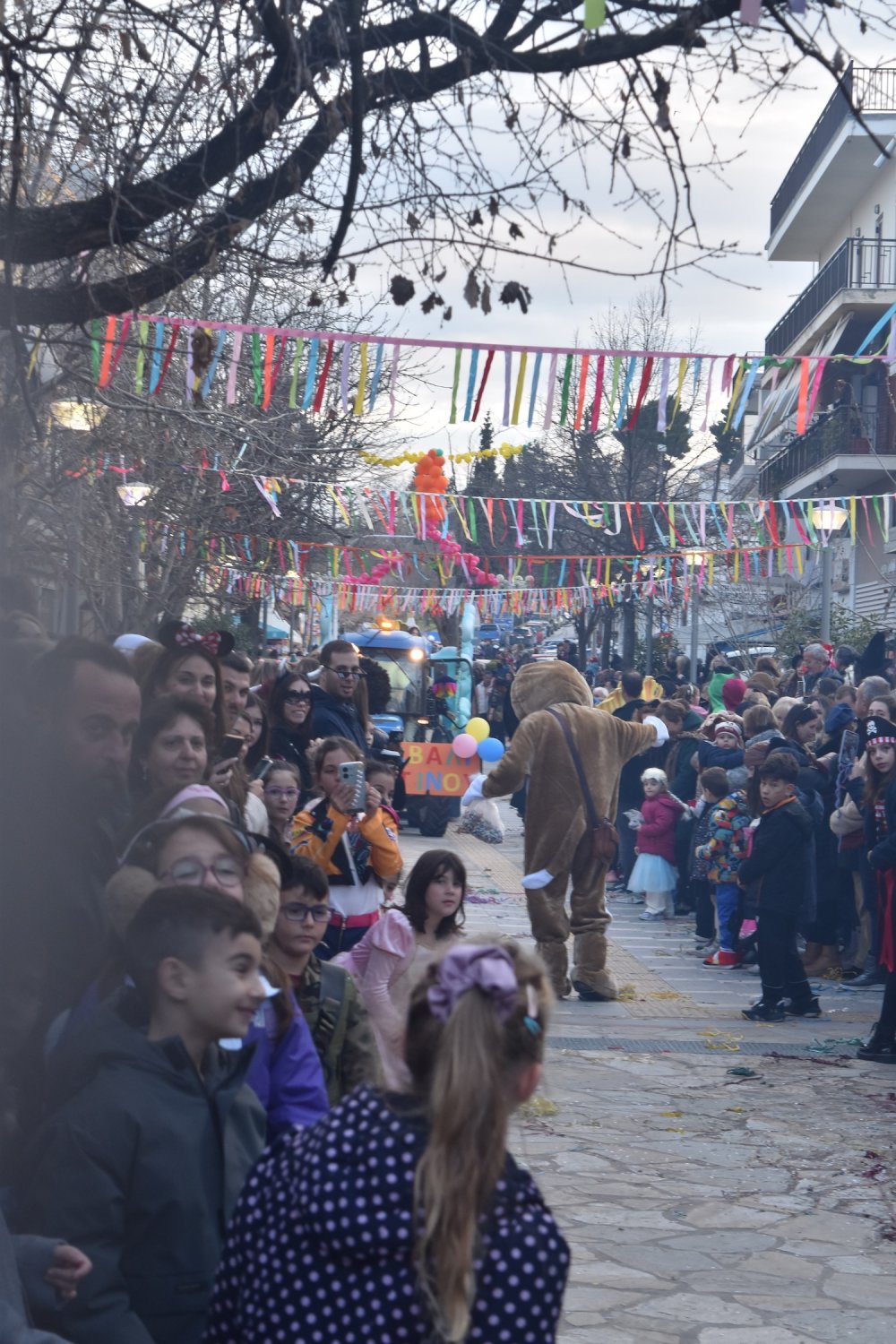 Εικόνες από το Καρναβάλι Βελεστίνου!