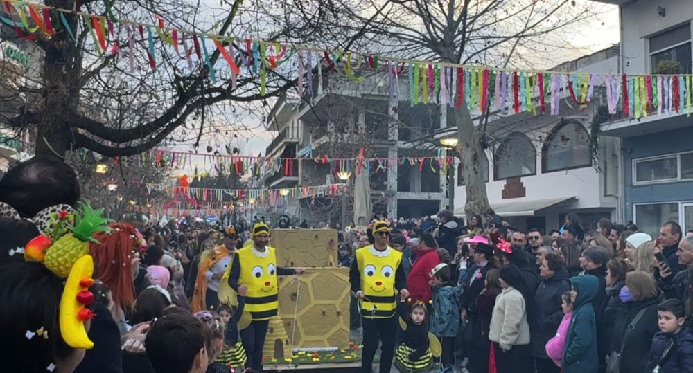 Εικόνες από το Καρναβάλι Βελεστίνου!