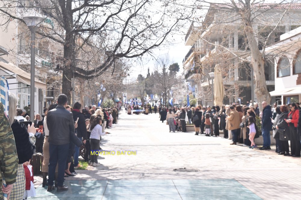 Φωτορεπορτάζ από την Παρέλαση στο Βελεστίνο