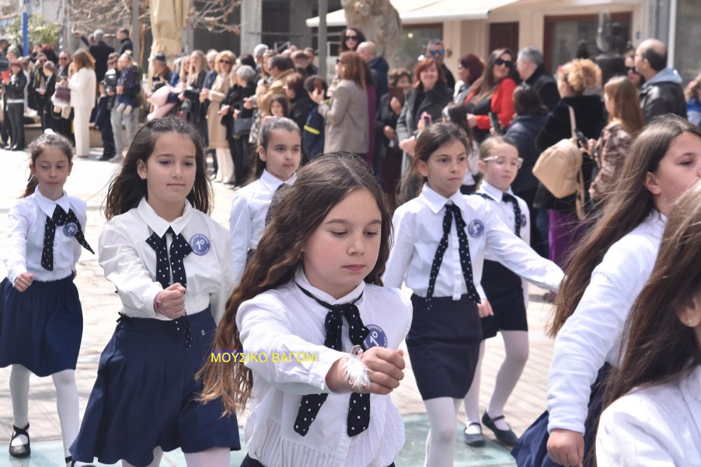 Φωτορεπορτάζ από την Παρέλαση στο Βελεστίνο