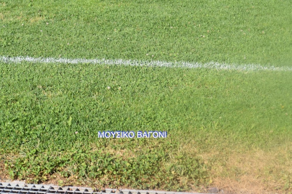 Ρήγας Φεραίος - Αλμυρός 2-1
