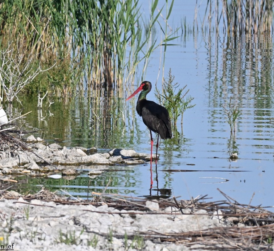 Φωτογραφία: Νίκος Λευκαδίτης