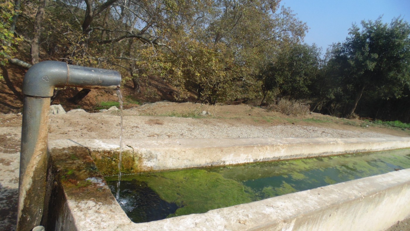 Χαρακτηριστική ποτίστρα - Φωτογραφία, Φοίβος Παπαγεωργίου