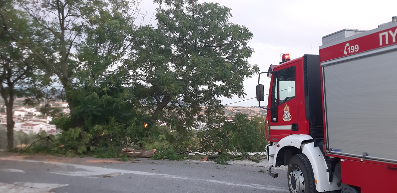 Φωτογραφία: Μουσικό Βαγόνι