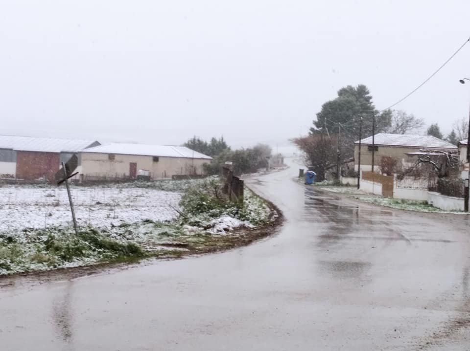 Φωτογραφία: Χρήστος Μπατζιάκας